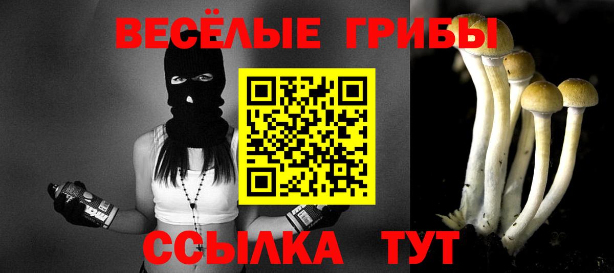 Галлюциногенные грибы MAGIC MUSHROOMS  Псилоцибиновые грибы прущие грибы  Вход с VPN  Астрахань 