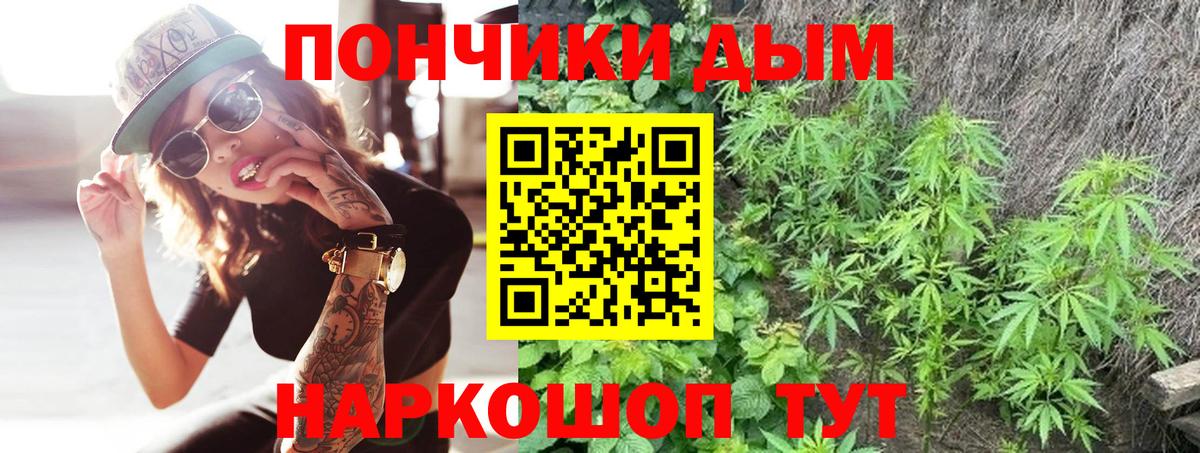 Бошки Шишки план Астрахань